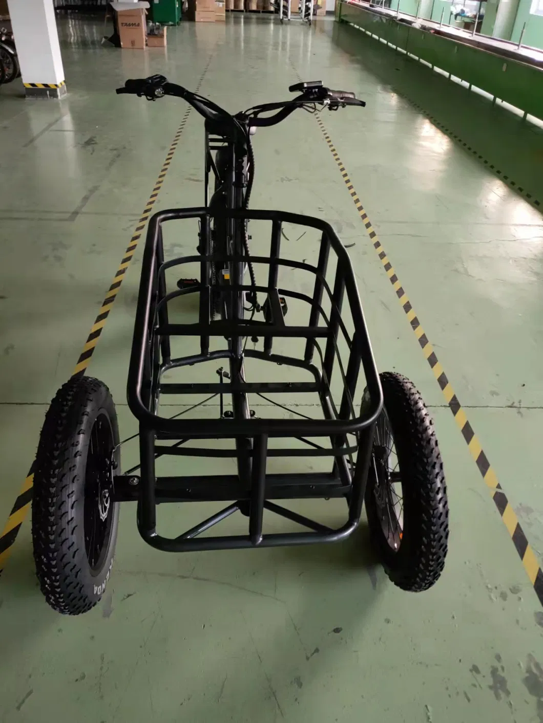 48V250W Fat Tire Electric Tricycle