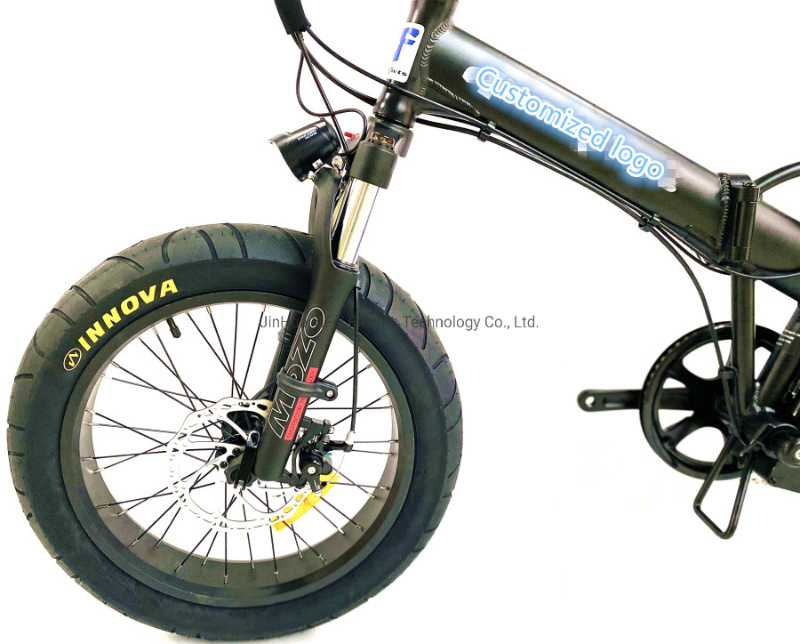 Brushless Motor 20inch Fold up Electric Motor Bike Electric Pedelec Bicycle Beach Ebike