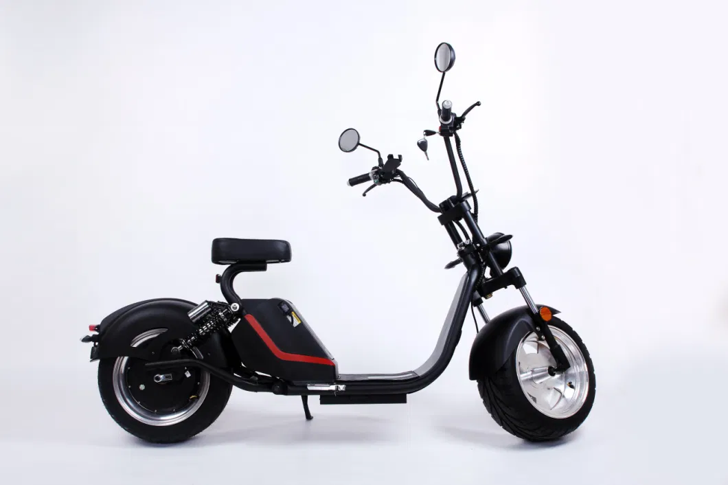 China Luqi Conversion Kit 3000W Electric Bicycle China with Removable Battery