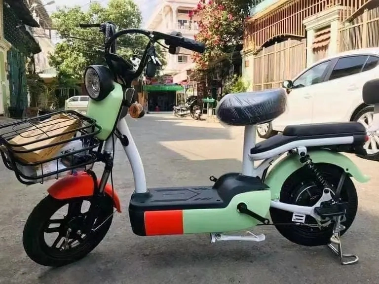 Hot Selling Chinese Electric Bike, Adults Electric Scooter