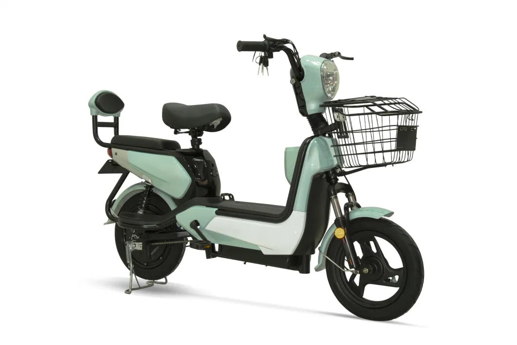 Lithium Battery Electric Scooter Electric Bicycle