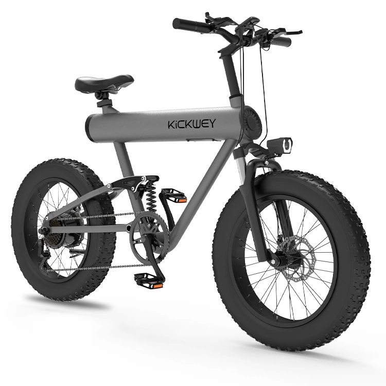 Powerful Motor Lithium Battery Electric Bicycle with 48V 500W 10ah