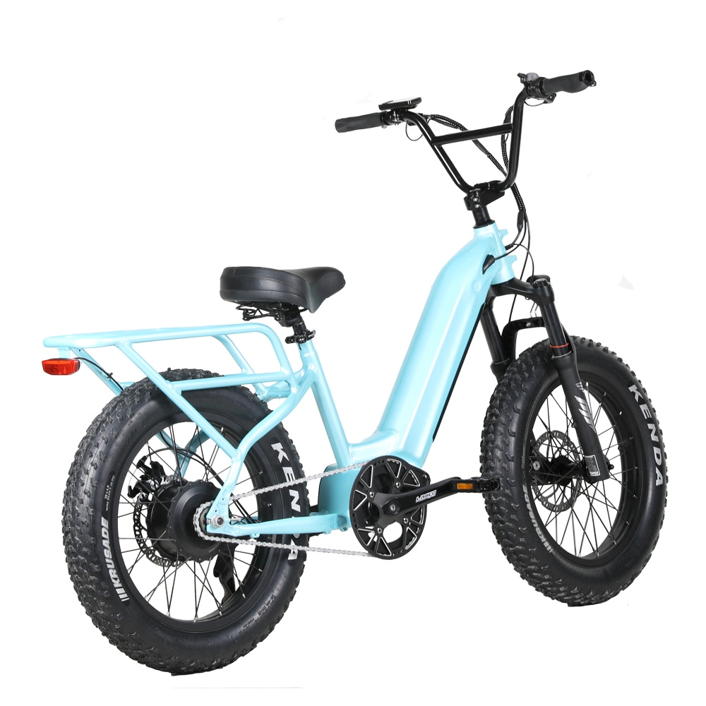 New Design 20 Inch 350W/500W/750W Step Through Mini Electric Bike with Single Speed