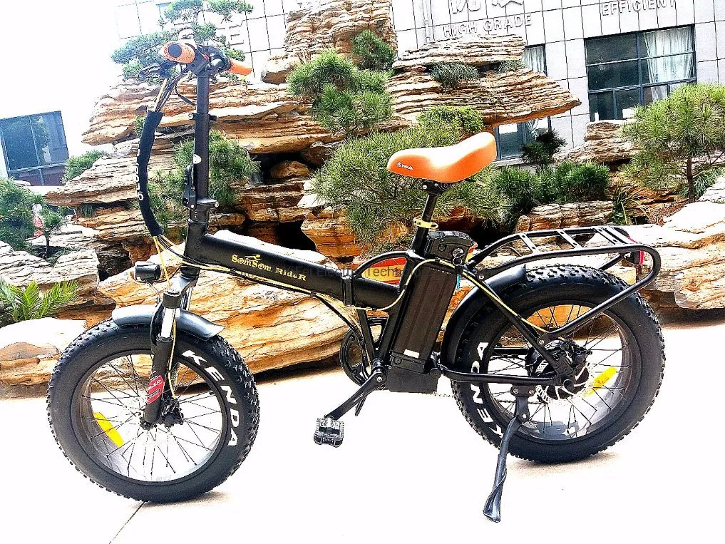 20inch City Drive Electric Bike Fat Tire Ebike Floding Ebike Moutain Ebike