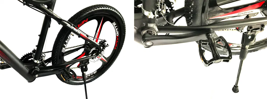 New Model Hidden Battery Electric Mountain Bicycle