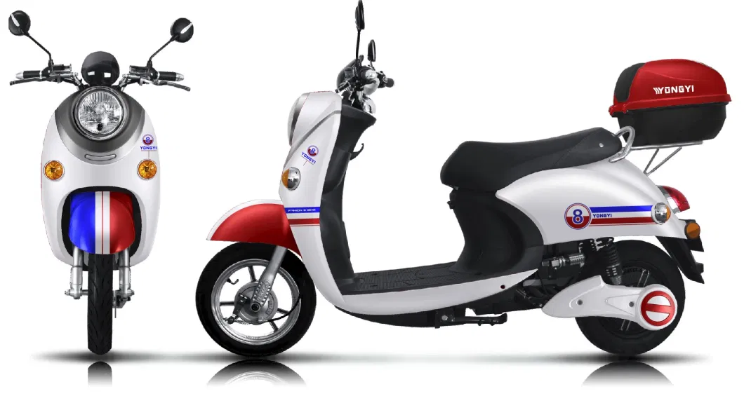 USA Popular Electric Bicycle Scooter Motorbikes