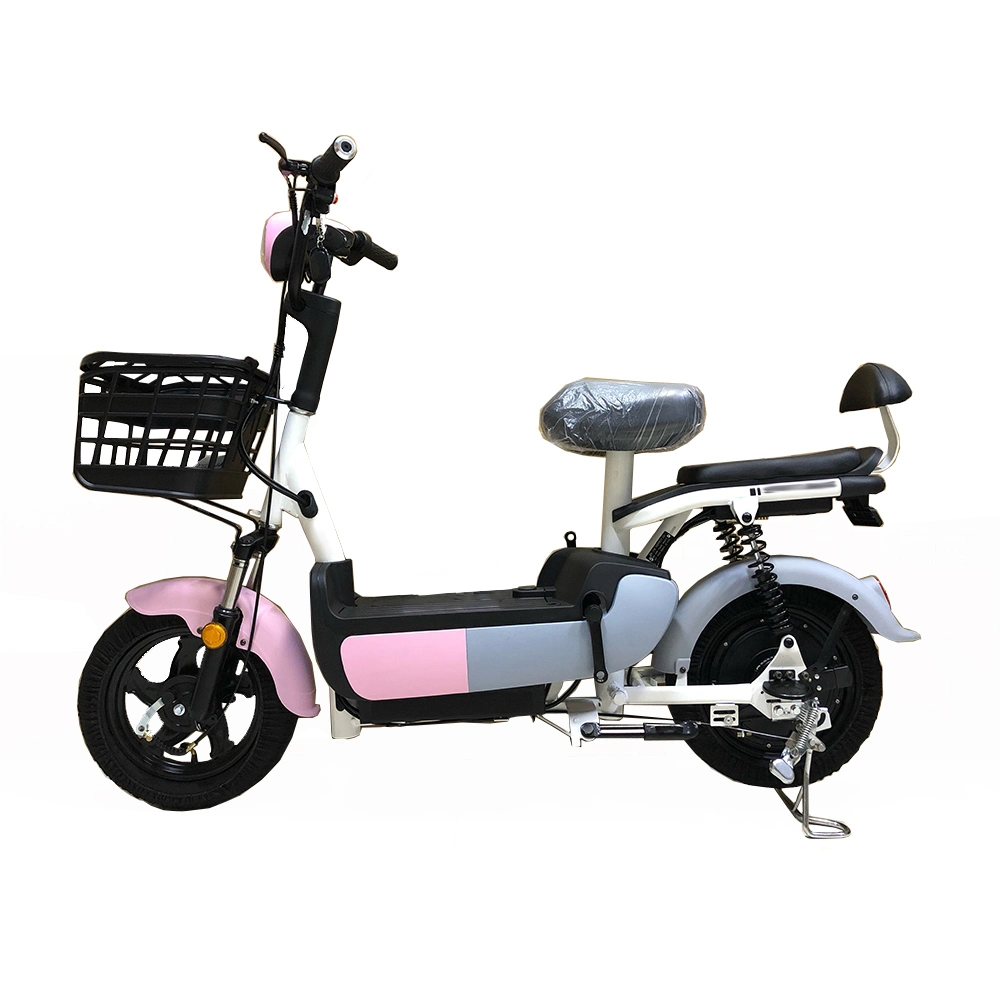 China New Type 2 Seater Electric Scooter Bikes Electric 48V Electric Bicycle