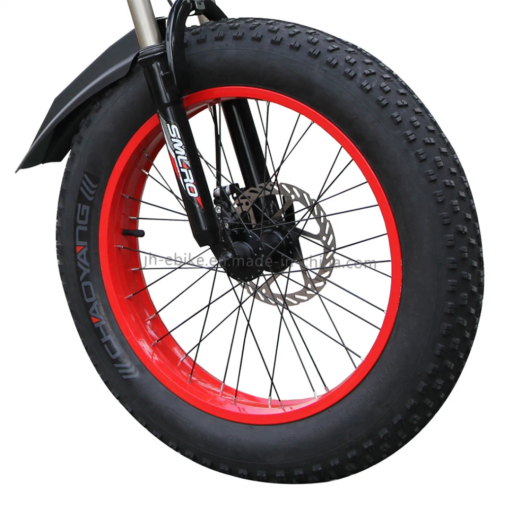 Dropshipping Fat Electric Bicycle 20inch Fat Bike Electric Bicycle 750W 48V Folding Electric Bicycle Battery