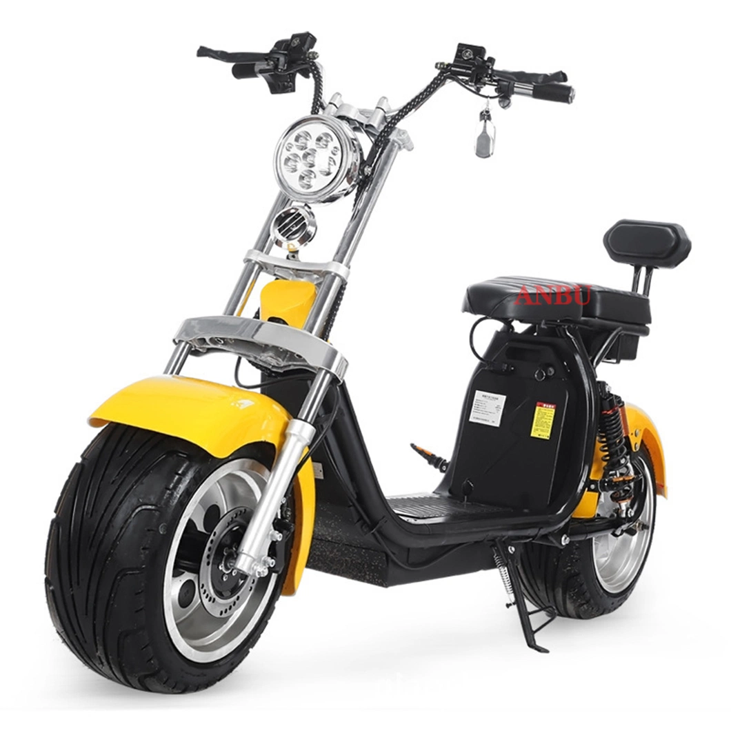 1500 W Electric Scooter Two Wheels Electric Bike for Adults Adult Made in China Electric Scooter