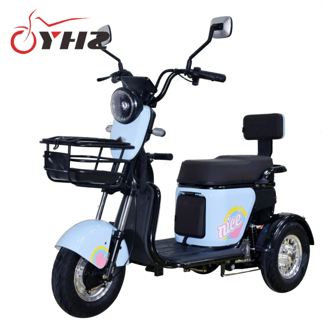 Mini Three-Wheel Electric Scooter Moped Dirt Bike 48V/60V 600W Motor