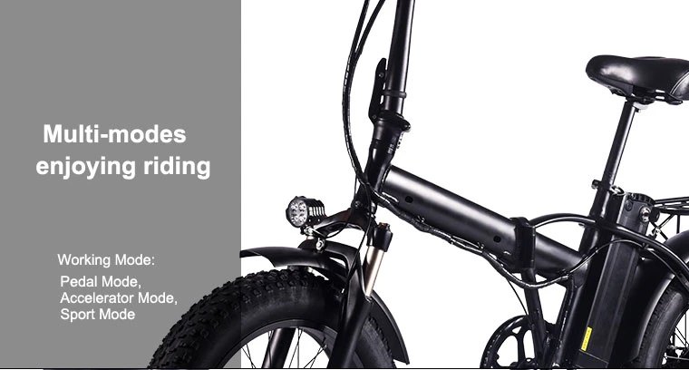 Hot Sale 20&quot; Electric Bicycle Mountain E Bikes Electric Folding Bike for Men