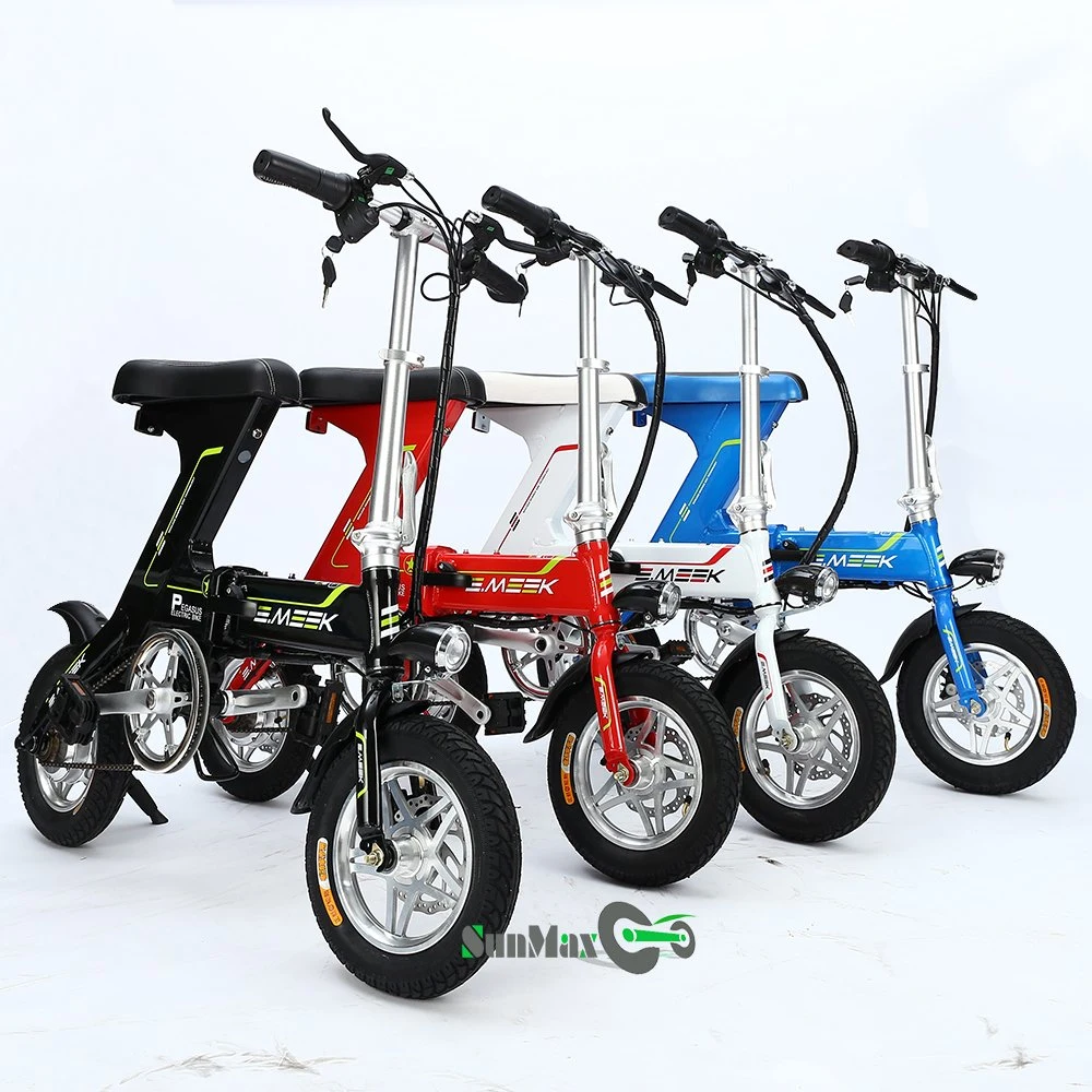 Simple Folding E-Bike Electric Bicycle China Price