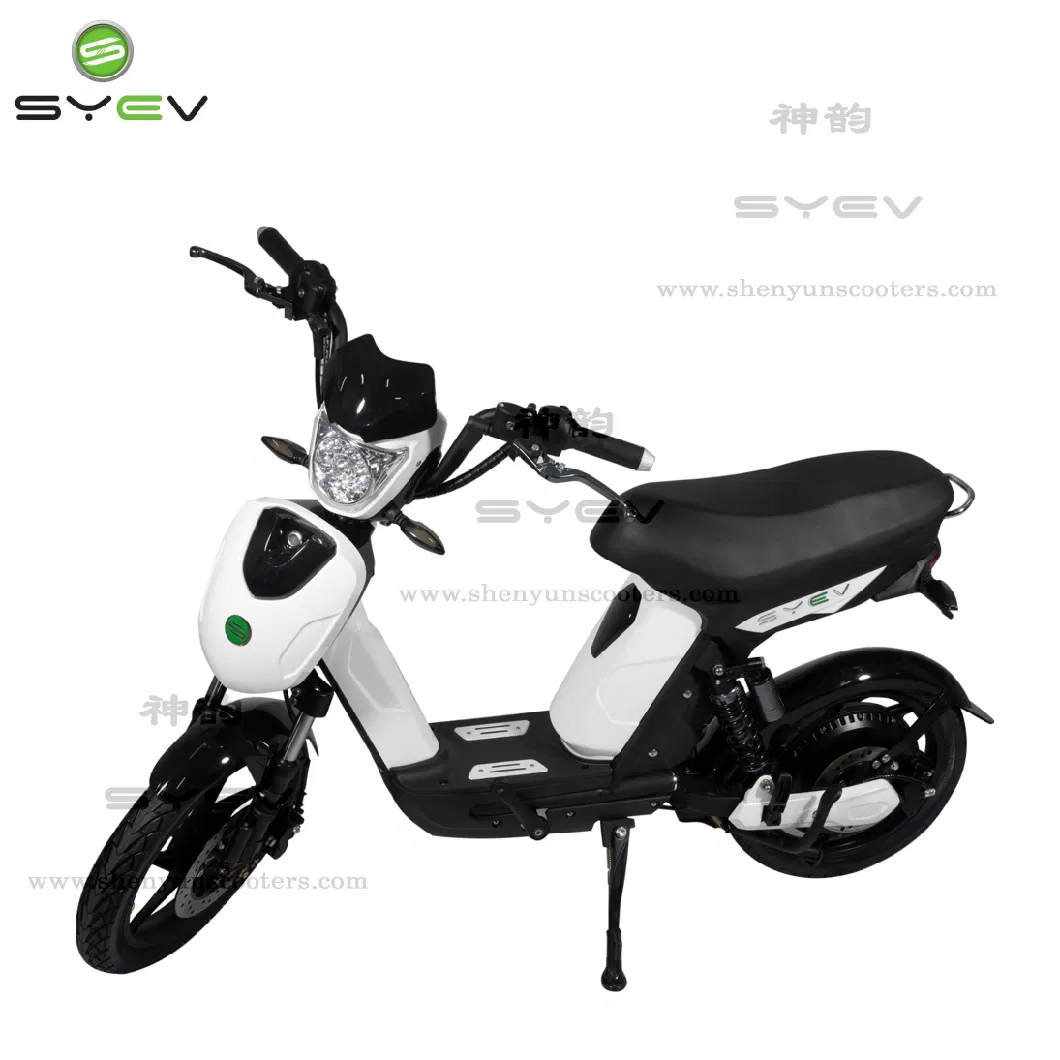 Shenyun Big Power Battery Powered Scooter 48V 40km 800W EEC Electric Bike Adult