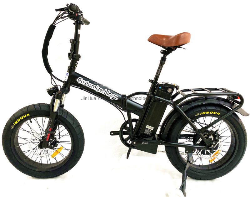 Brushless Motor 20inch Fold up Electric Motor Bike Electric Pedelec Bicycle Beach Ebike