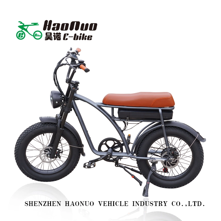 2023 New Model 26 Inch 48V 500watt Electric Bicycle