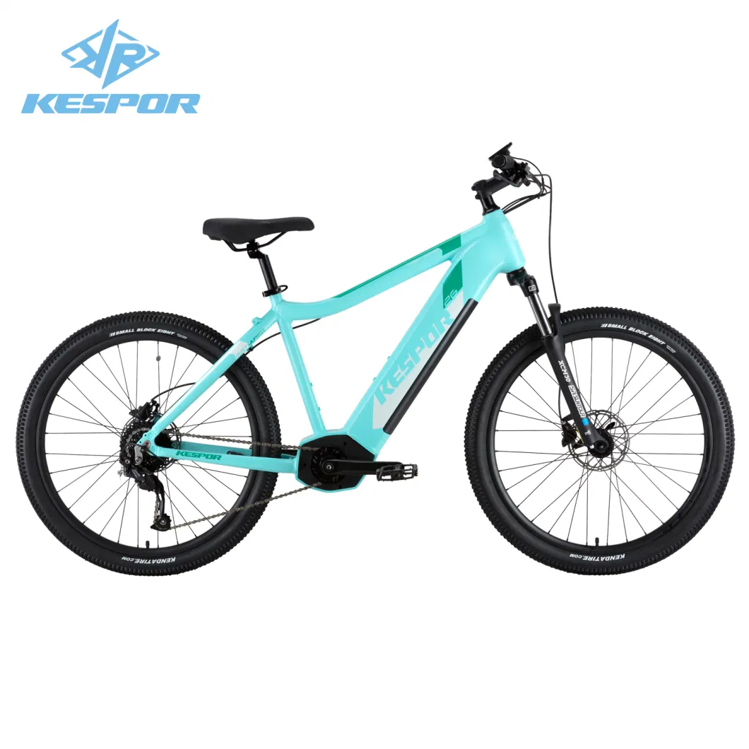 New Trendy Style 2er 250W Electric Bike Bicycle with 36V 20ah Battery