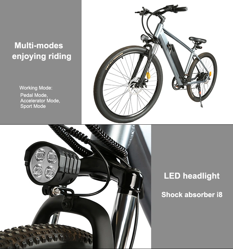 Sport Electric Bicycle 250W Ebike Fastest City E-Bike Bikes Dirt Bike Ebicycle