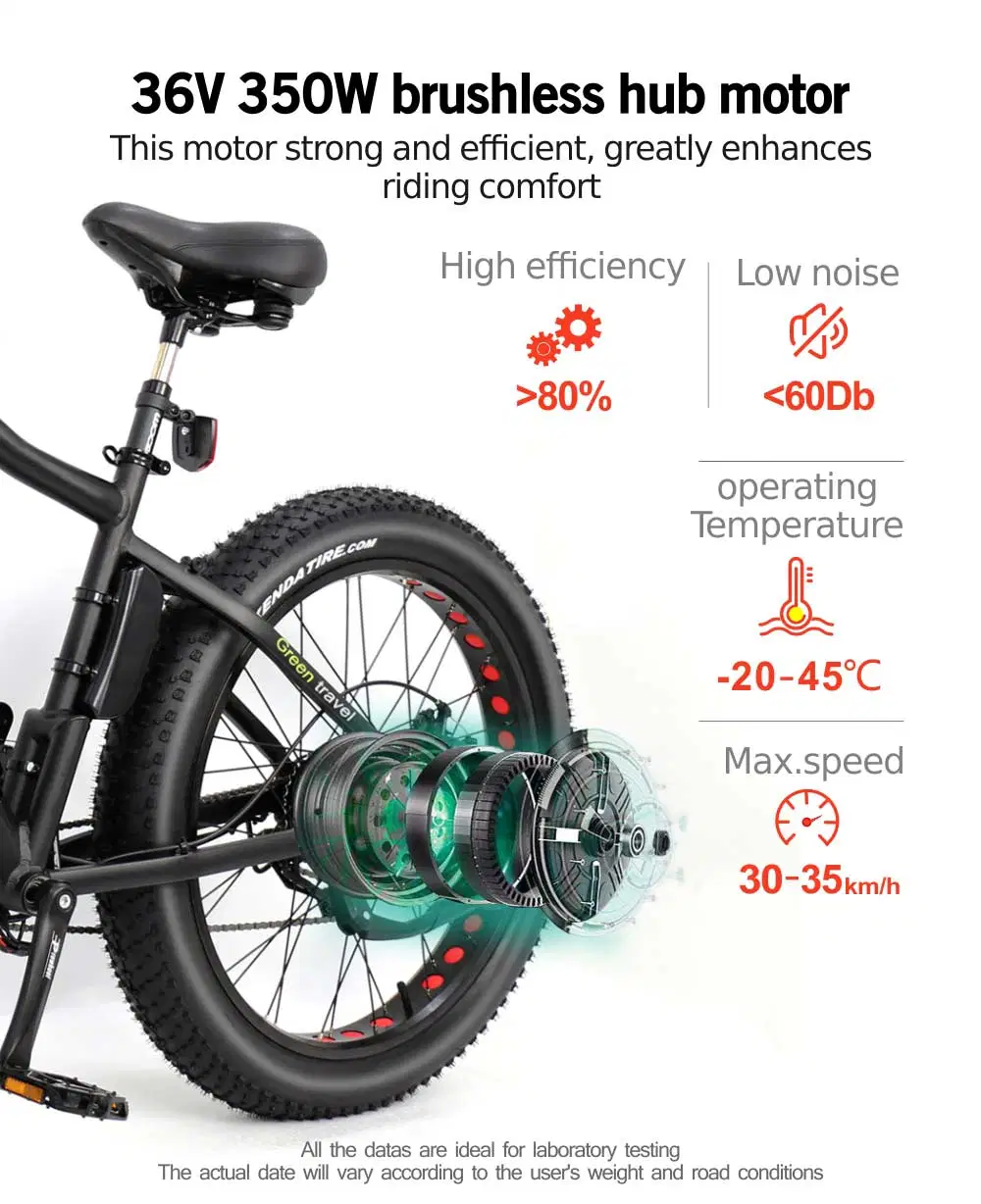 We Use Thick Carton Brushless Shuangye or Hotebike E-Bike Motor Bike