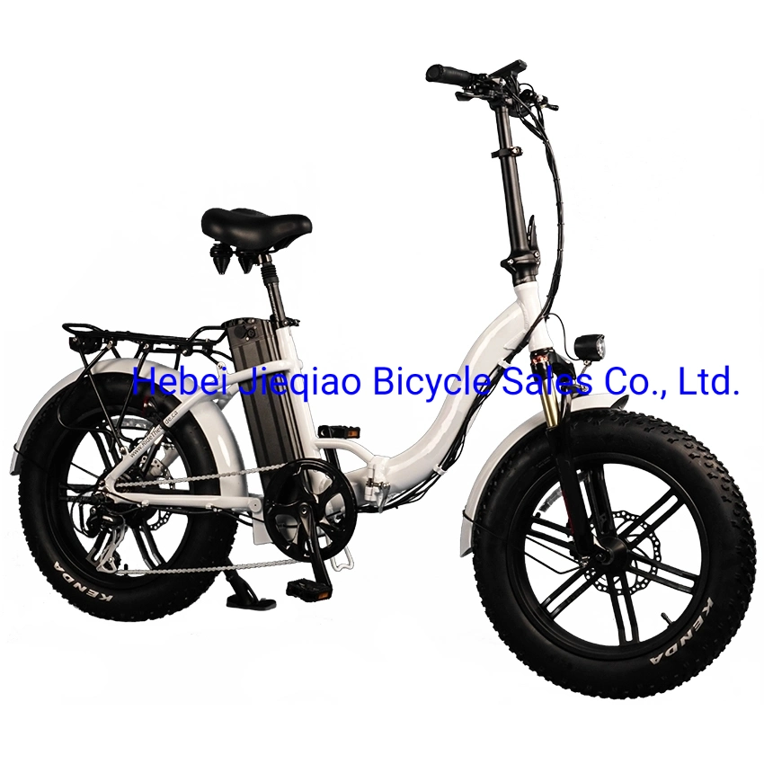 New Model Electric Bike 750W Fat Tire Foldable Electric Bicycle