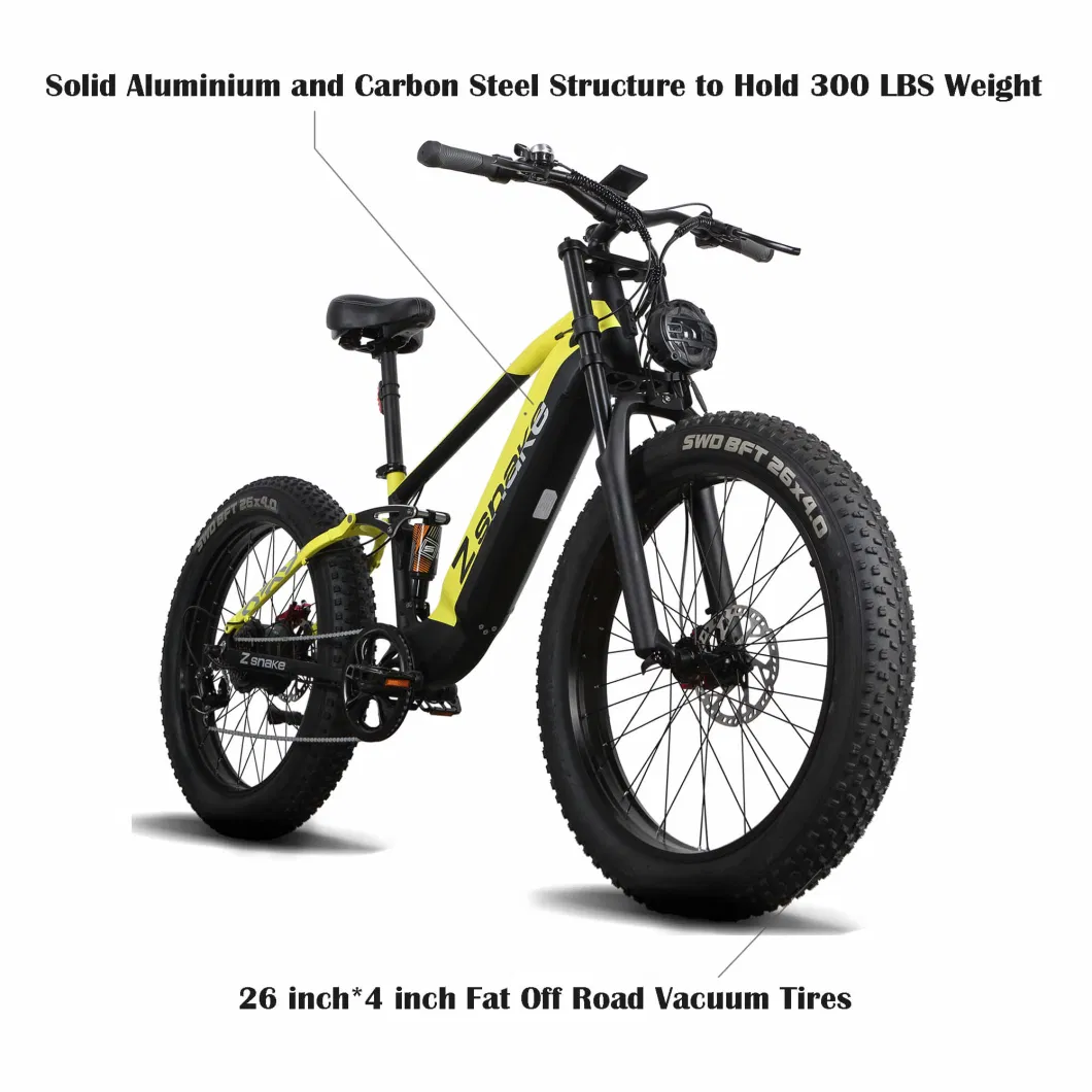 26 Inch Fat off Road Tire Electric Bike 48V 750W Adult Electric Bicycle Factory