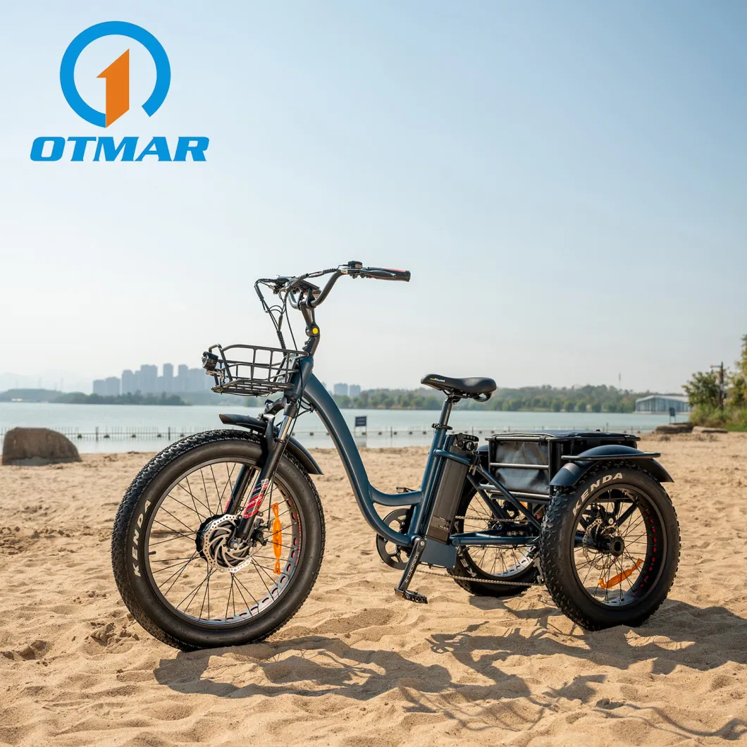 Factory Direct Sales 24 Inch Front Drive 750W Cargo 3 Wheel Electric Bike Trike