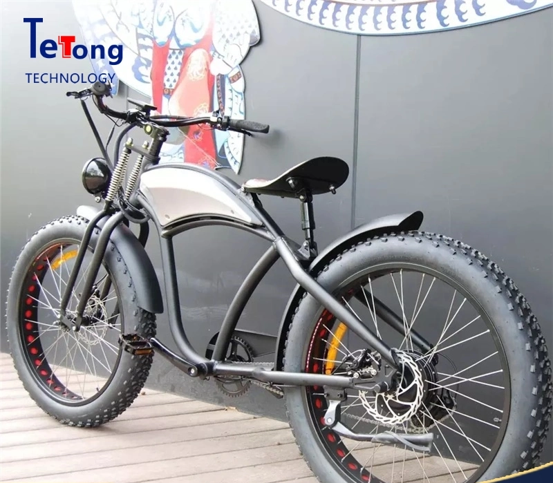 off Road Fat Tire Folding Fast Electric Dirt Bike Mountain City Road Bicycle E Bike Cycle