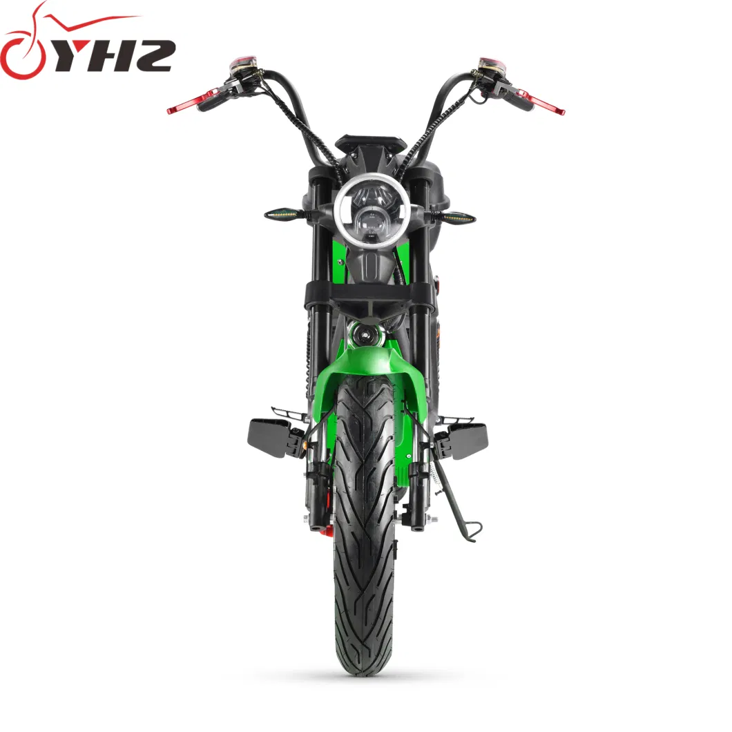 New Style Europe Road Legal Electric Bike 2000W Adult Chopper with EEC