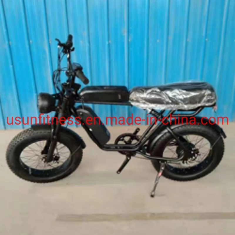 Wholesale Aluminum Alloy Fat Tire Electric Bike Electric Bicycle Mountain Electric Bike with Lithium Battery