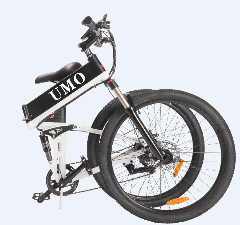 Popular in Italy LCD Display Electric Bike Smart Fast Charge Bicycle Electric Bike