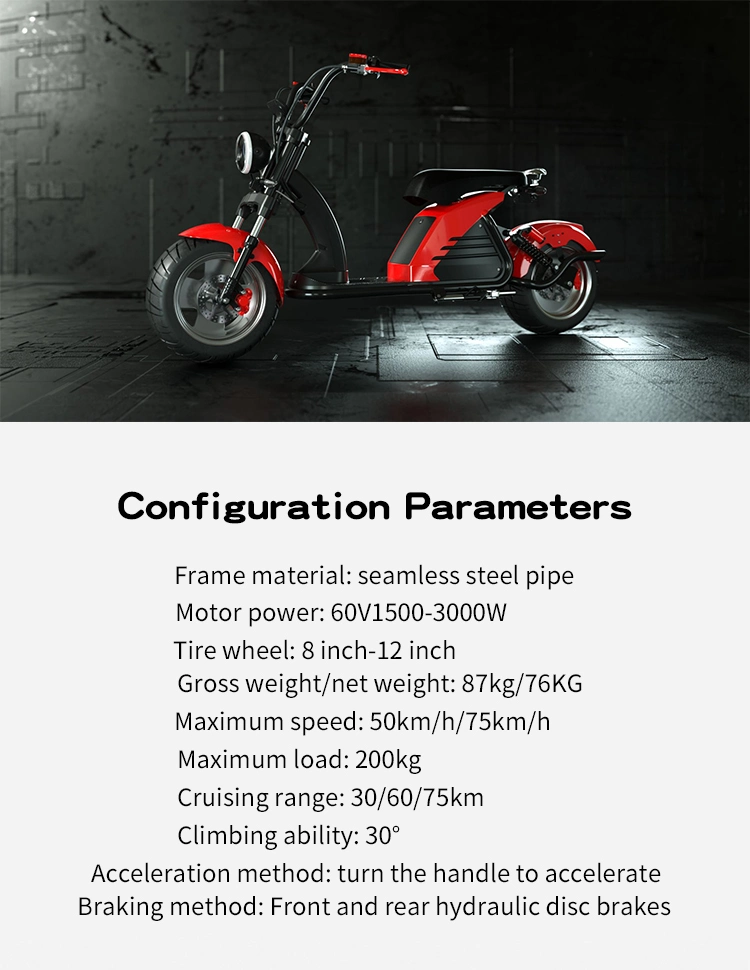 3000W 30ah Top Speed 75km/H Electric Bike Electric Motorcycle Scooter Adult