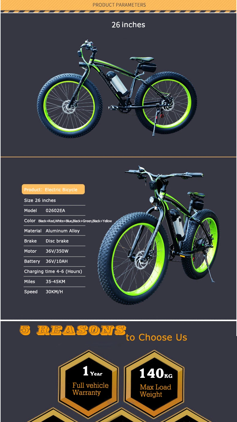 Ce Certificate Long Range Cycling Ebike 26inch Fat Tire Mountain Bike 48V Bicycle Electric Bike