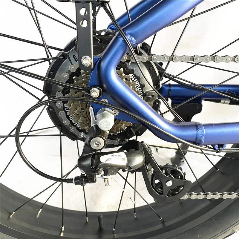 Cheap 1000W Ebike Electric Bikes Fat Tire City Bike for Adults