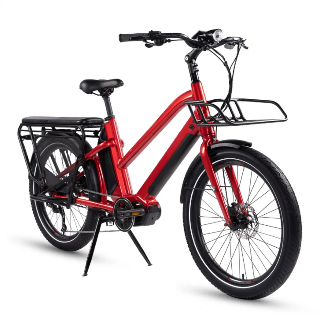 China Supplier Electric Folding Bike Mountain Lithium Battery Electric Bicycle Ebike
