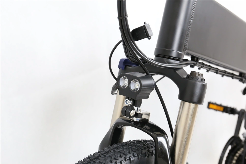 Electric Bike 1000W Folding Bicycle Torque Sensor Ebike Electric Bicycle 48V350W Motor 20ah
