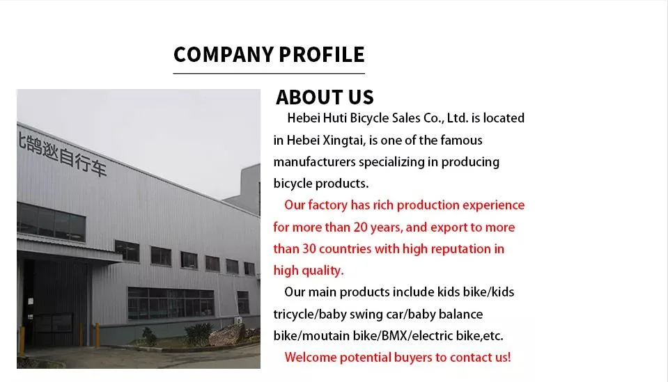 China Factory Wholesale Hot Sale 12 14 16 Inch with Steel Basket Kids Bike New Design Three Wheels Training Kid&prime; S Bicycle
