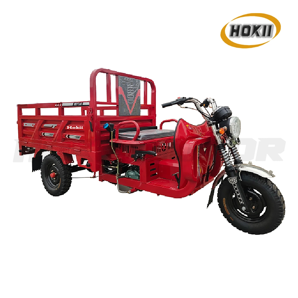 China Motorcycle Factory Mopeds Design Disabled Tricycle Cargo Tricycle 150cc Gasoline Engine for Handicapped Use