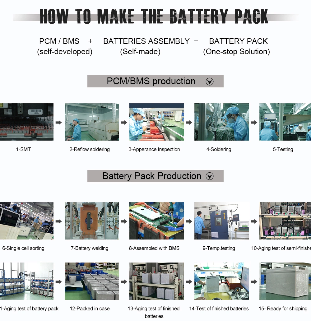 Rechargeable Lithium Battery Pack 12V 24V 36V 48V Li Ion LFP Battery Pack