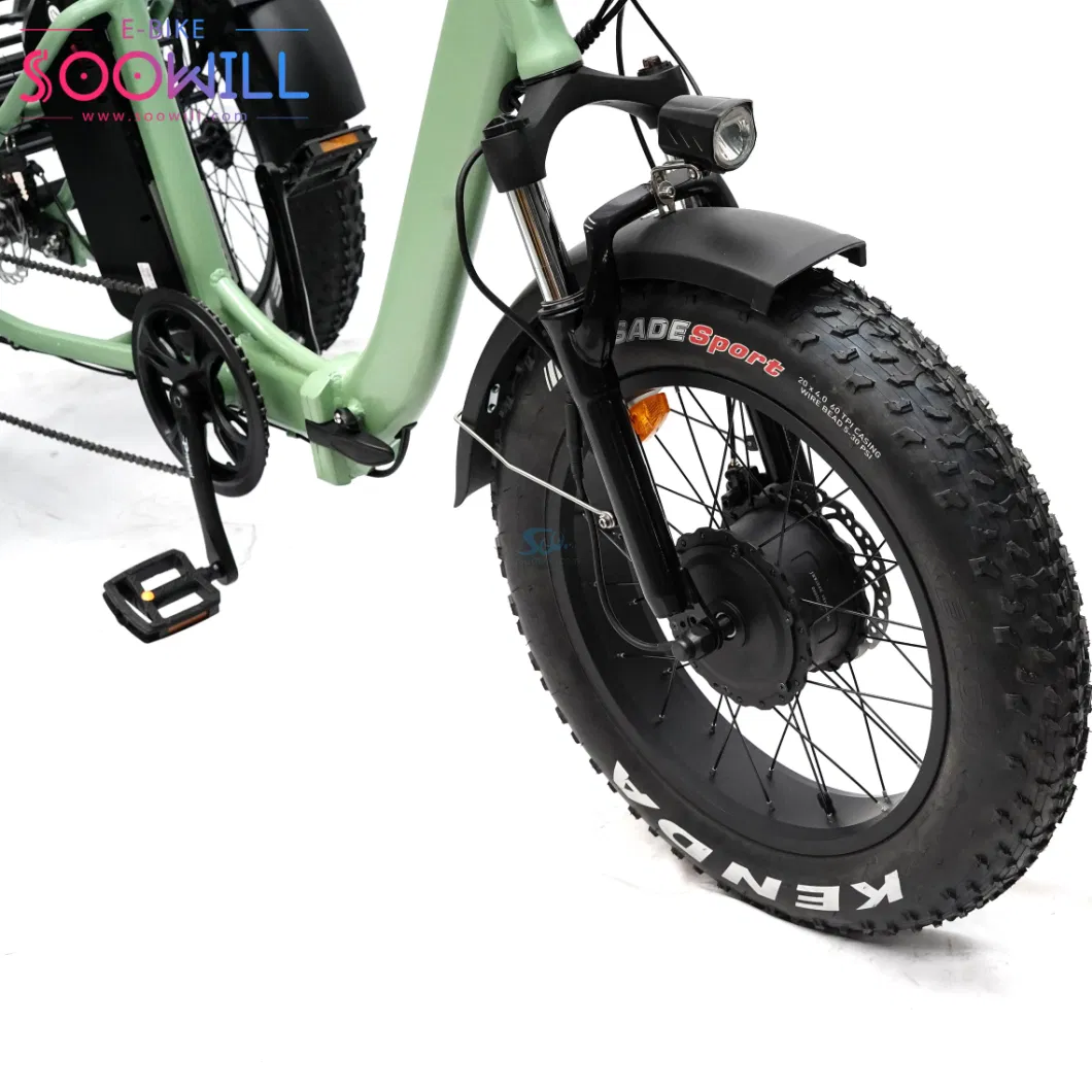 Microprocessor Other Tyre Fat Tire Adults 20 Inch Electric Tricycle with Seat