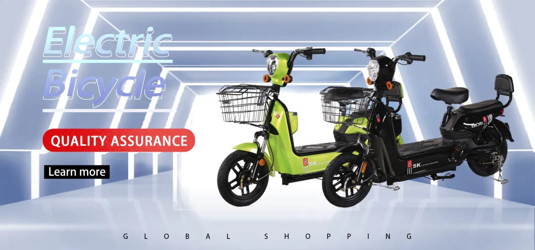 China New Type Electric Scooter 2 Seater 48V 350W Electric City Bike EV Bike E Cycle Electric Bicycle with Lead Acid Battery Sell