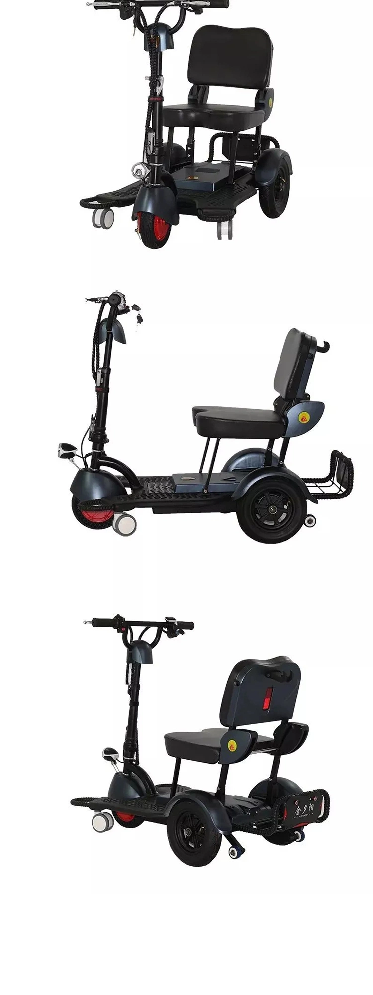 Electric Tricycles Double Seat Citycoco Adults 300W 12ah Body Power Origin Type