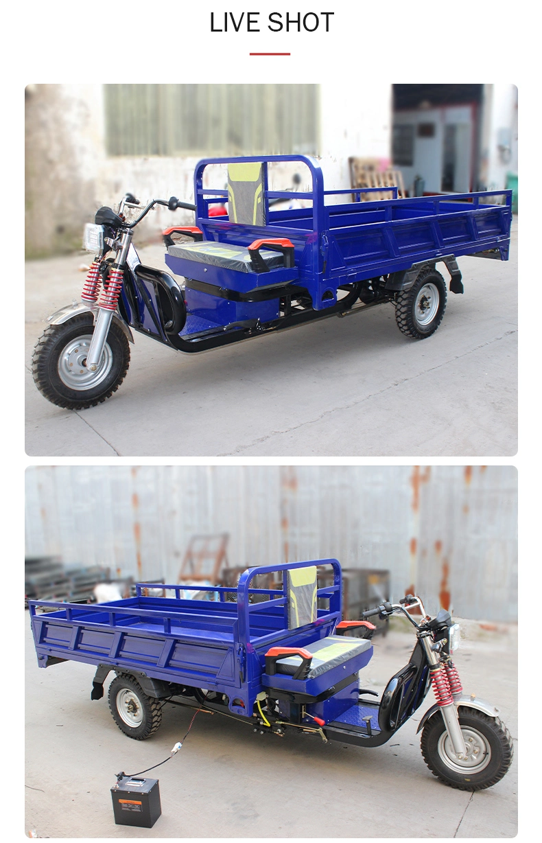 Passenger Electric Tricycle Dumper Adult Cargo Electric Tricycle 1000kg 1500kg
