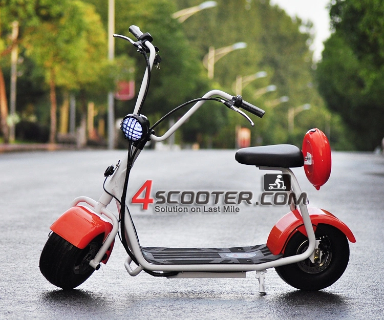 New Type 2 Wheel Electric Scooter 500W 1000W on Sales Promotion 2013 Electric Bicycle