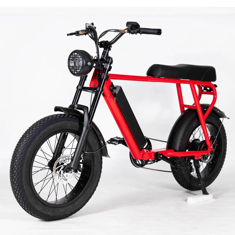 Wholesale Promotion Good Configuration Passenger Transportation 500W 48V Lithium Battery Electric Bicycle Ebike