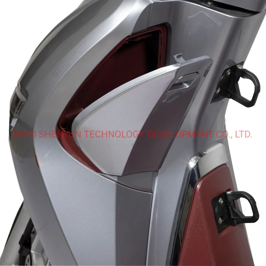 Syev Adult Electric Scooters Powerful Battery Motor EEC Electric Scooter Motorcycle 80km/H 170km Range
