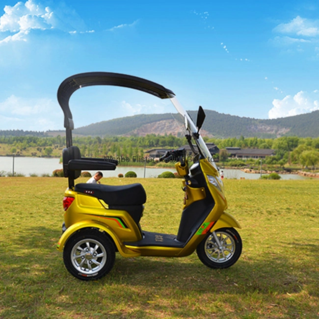 Mobility Scooter Electric Tricycle Adult Electric Trike