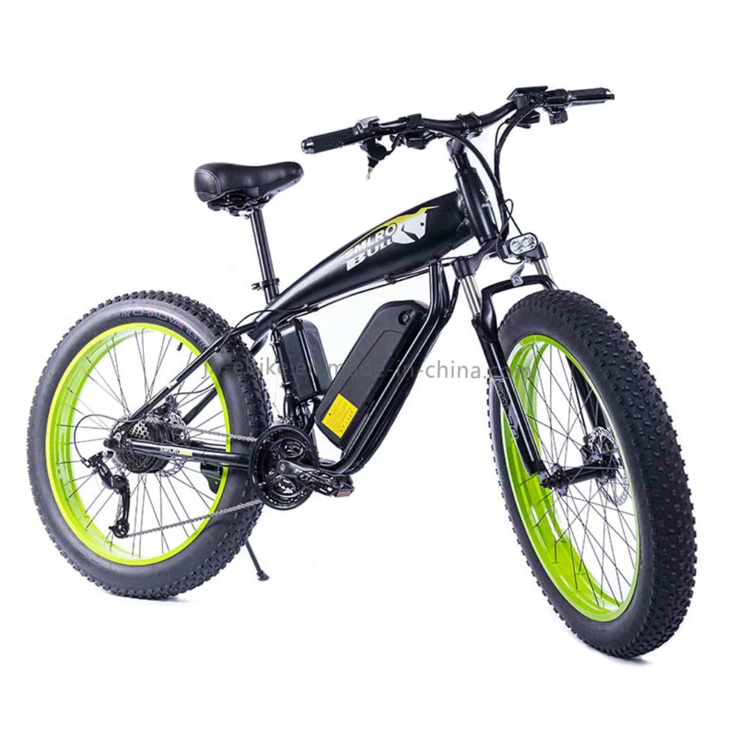 Dropshipping Electric Bicycle 750W 26&rdquor; Electric Bicycle Suspension Electric Bicycle 48V