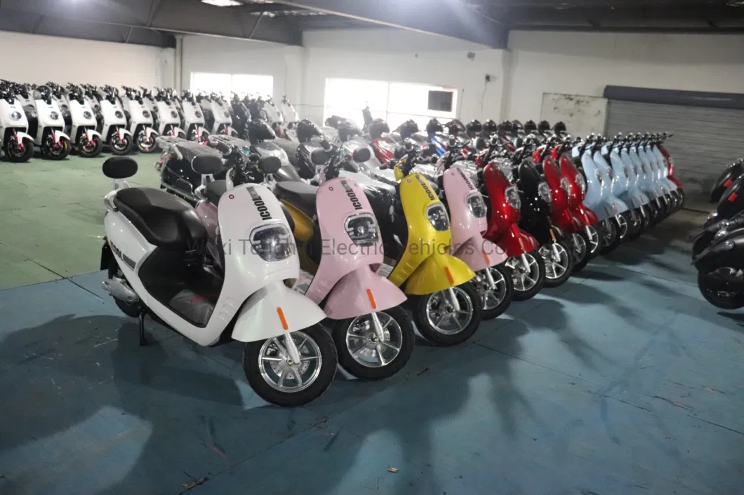 Chinese Warehouse High Quality Electric Scooter 1000W Electric Bike 48V for Adults