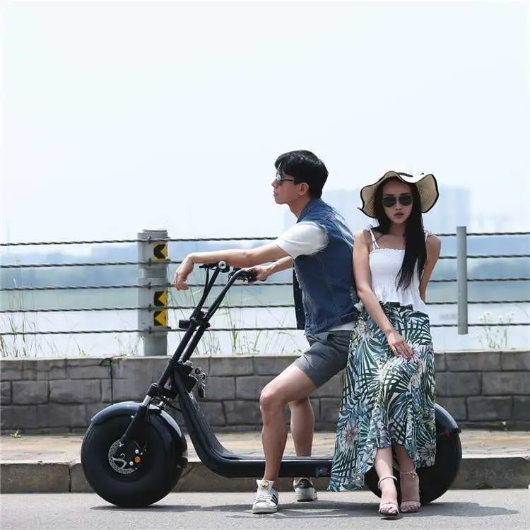 1500W 2000W Citycoco Fat Tire Electric Scooter Moto Electrica EU Approval EEC Coc Electric Motorcycle Citycoco
