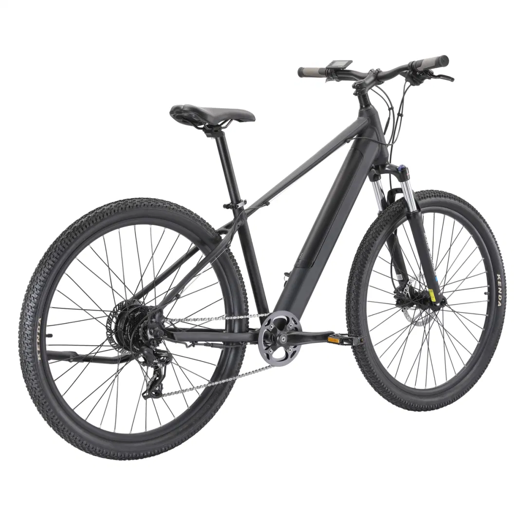 New Design CE Ebike with Rear Seat 250W 36V Electric Mountain Bike Dual Battery 26inch Adult Electric Bicycle