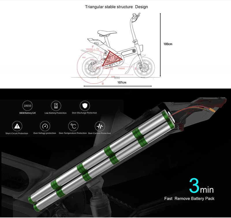 New Lightweight 12inch Electric Folding Bike 350W 10ah Electric City Bike Electric Bicycle